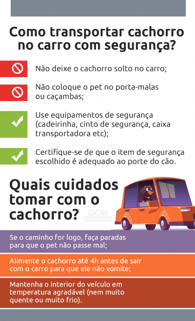 Infográfico transporte de cachorro no carro DOK Despachante