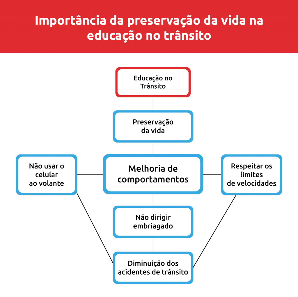 Infográfico estilo mapa mental sobre a importância da preservação da vida como um dos pilares da educação no trânsito | DOK Despachante